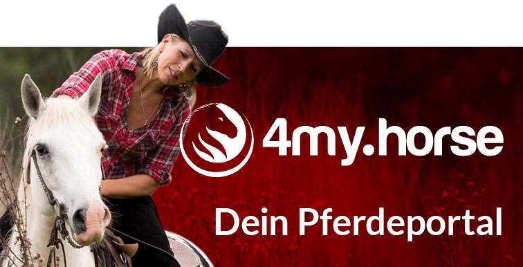 Banner 4my.horse Banner 4my.horse