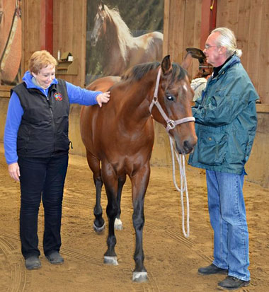 Healing Touch for Animals® von Robert Haas ausgeführt Healing Touch for Animals® von Robert Haas ausgeführt