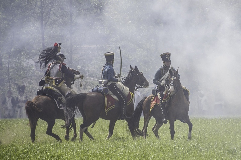 Pferde im Kriegseinsatz Pferde im Kriegseinsatz