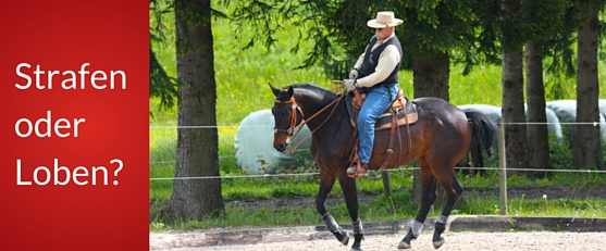 Berni Zambail mit seinem Trakehnerwallach Gentleman