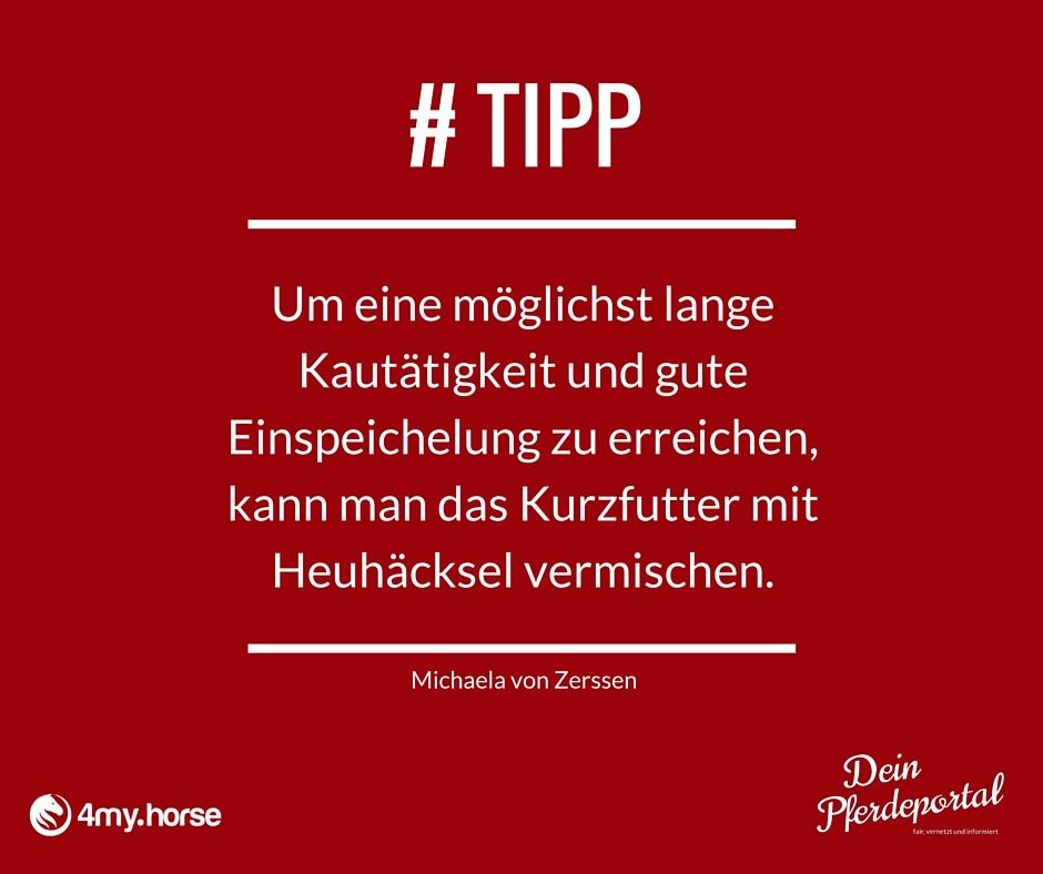 Der Tipp für Dich