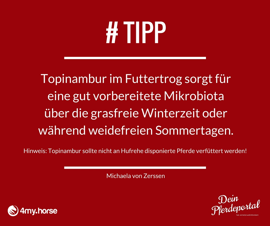 Der Tipp für Dich