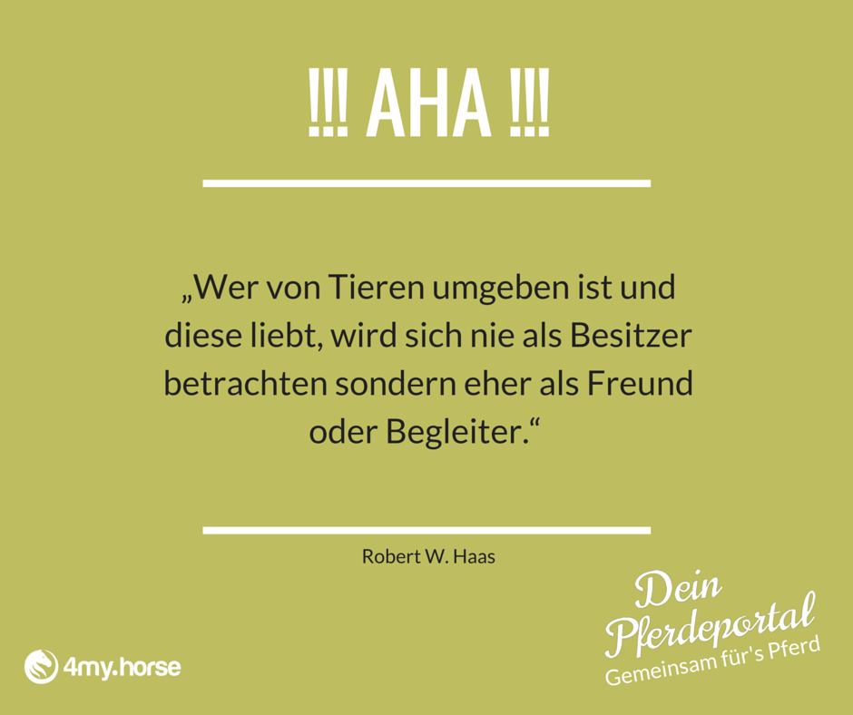 begleiter