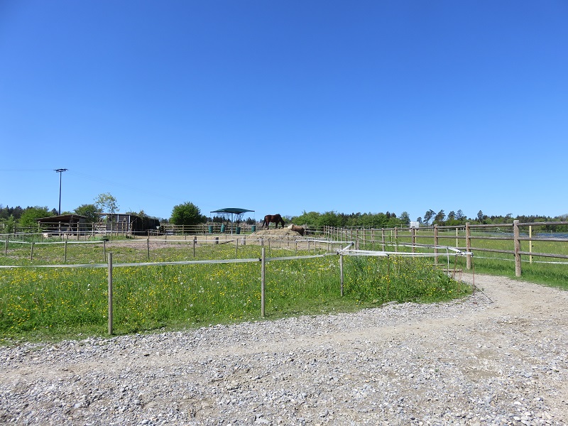 Das Paddock Paradise