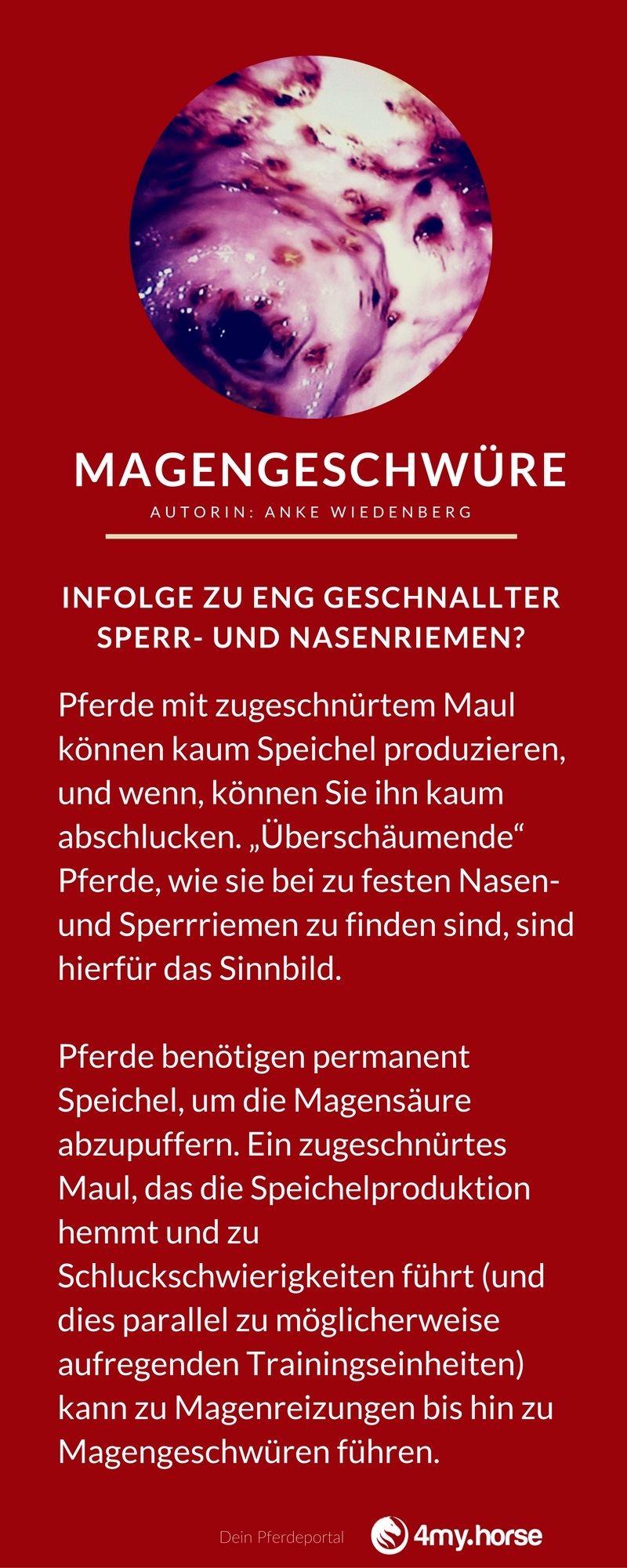 magengeschwuere