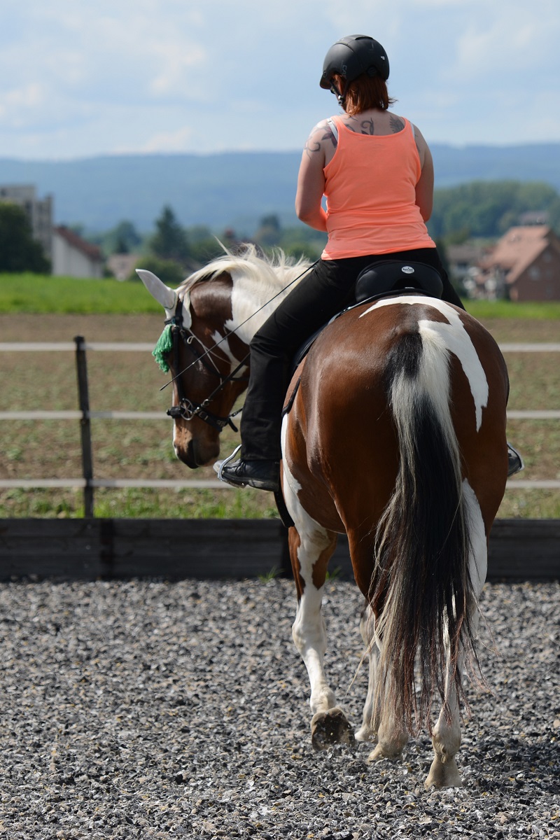 Mit dem ganzen Körper reiten