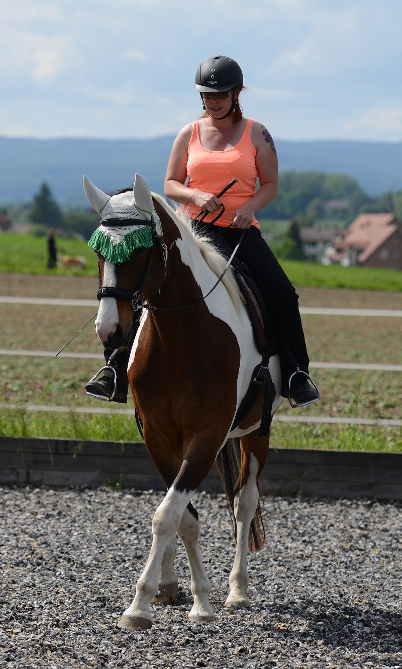 Körperbewusstsein beim Reiten Körperbewusstsein beim Reiten