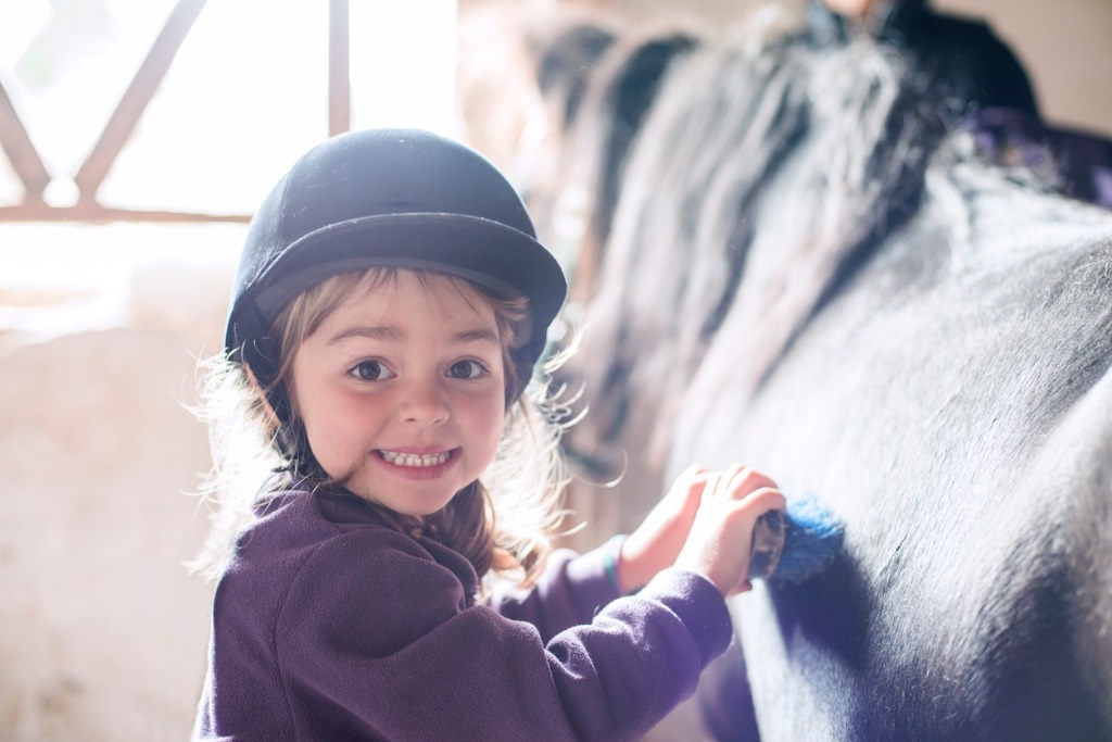 little-girl-brushing-her-pony-picture-id846456136