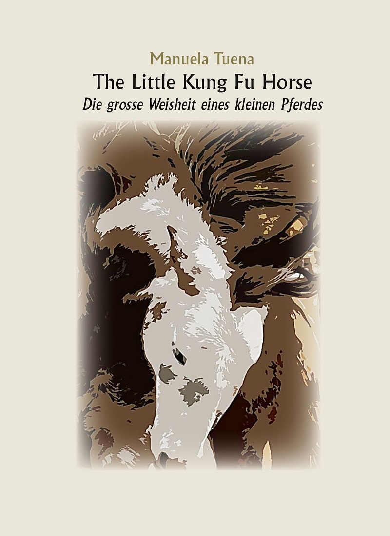 The Little Kung Fu Horse The Little Kung Fu Horse