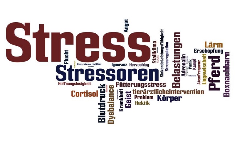 Stress