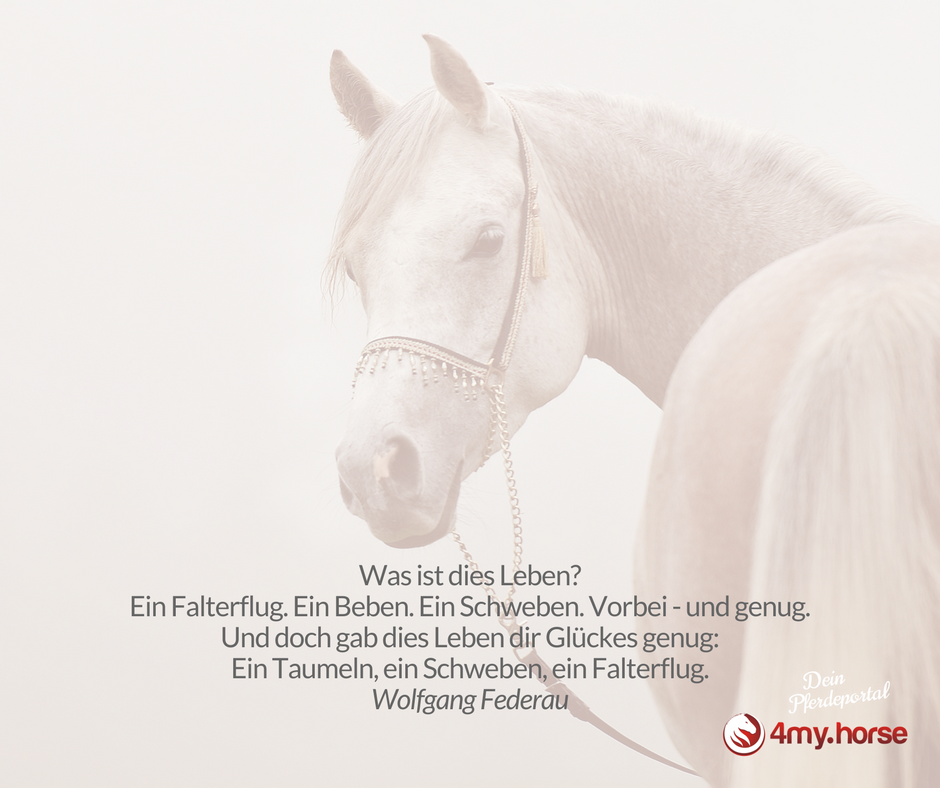 Was ist das Leben?