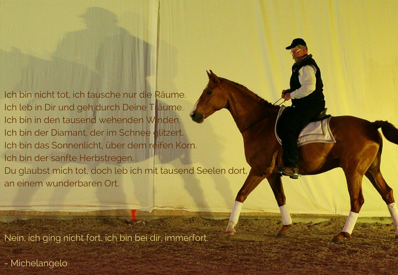 Abschied von Apartis