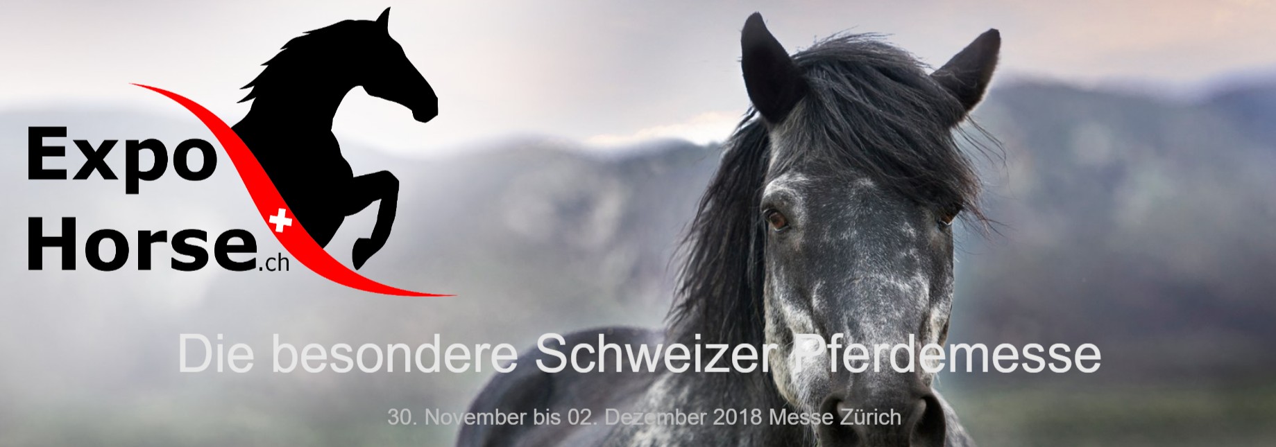 Rückblick ExpoHorse 2017