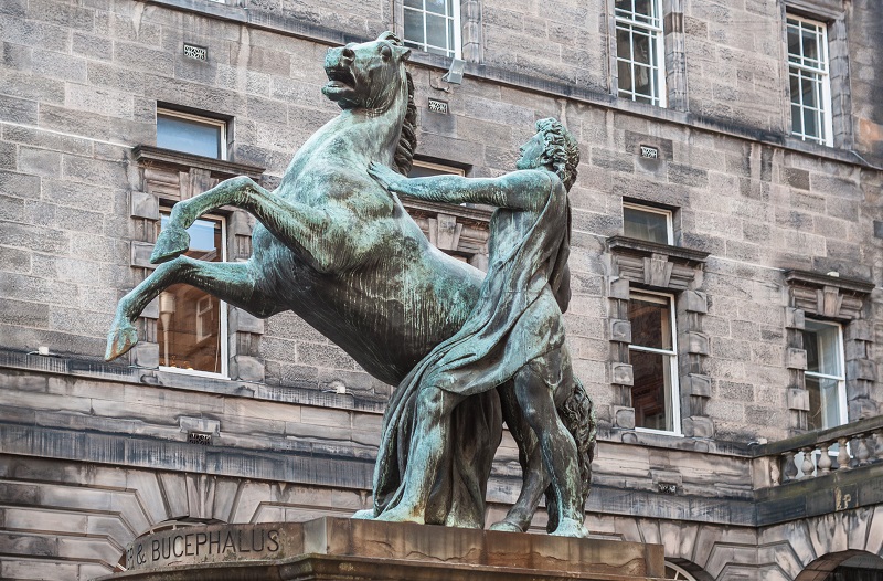 Bucephalus