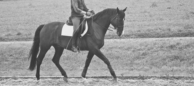 Feines Reiten