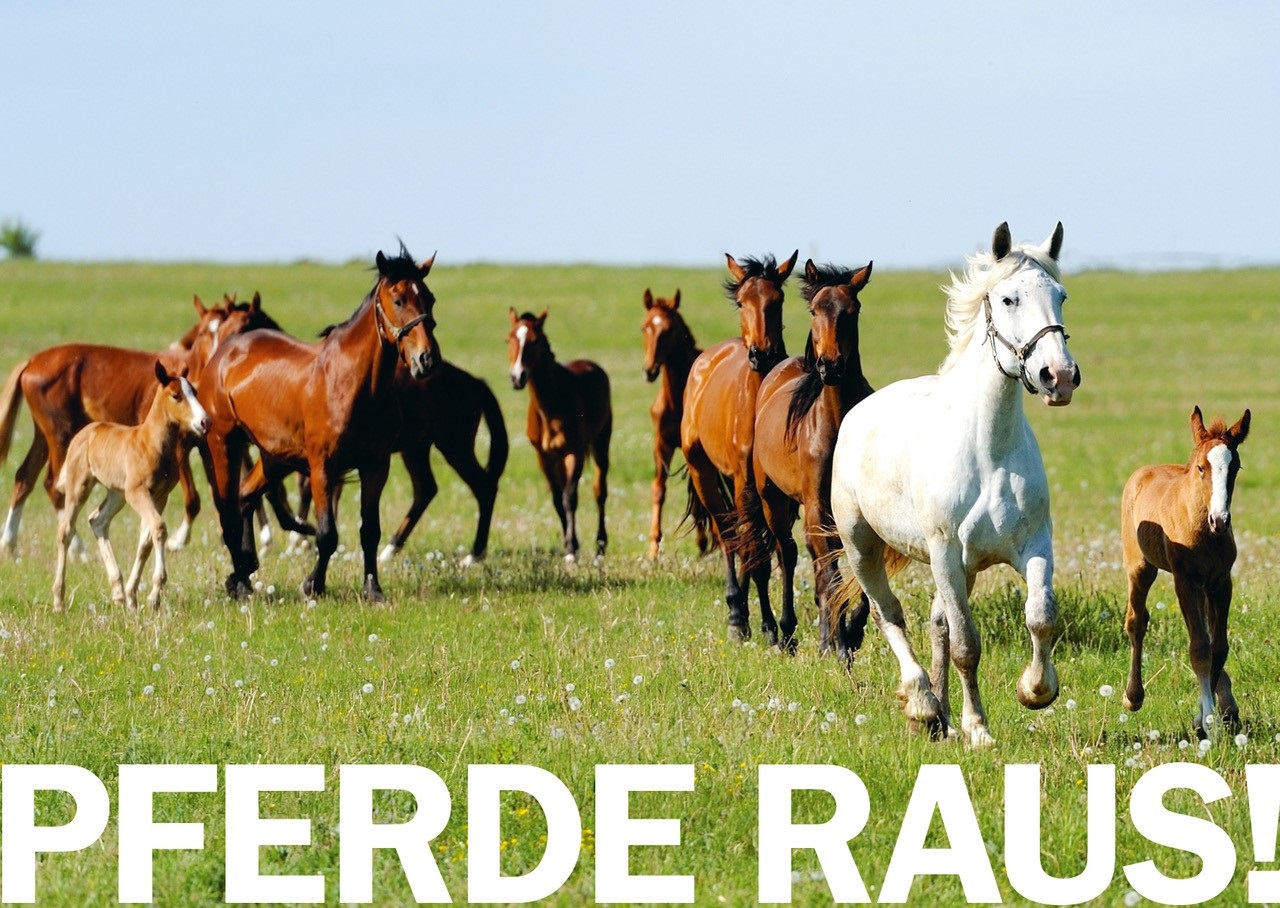 Kampagne Pferde raus