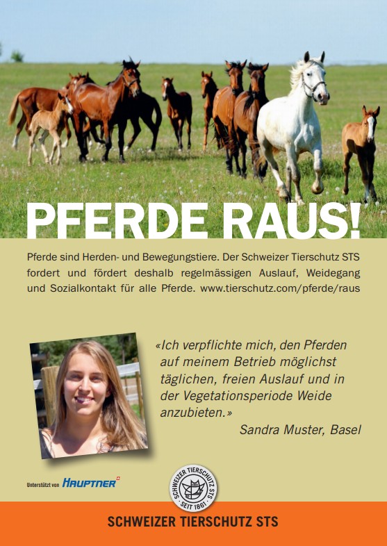 Urkunde