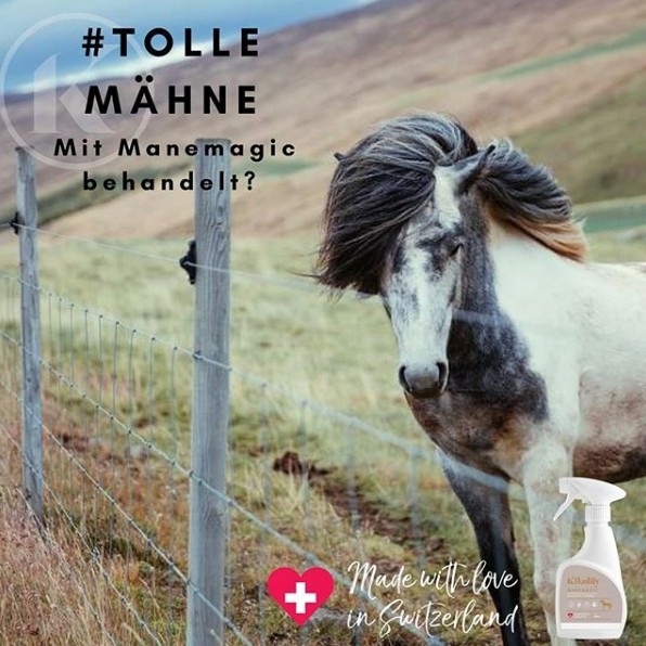 Horsewash
