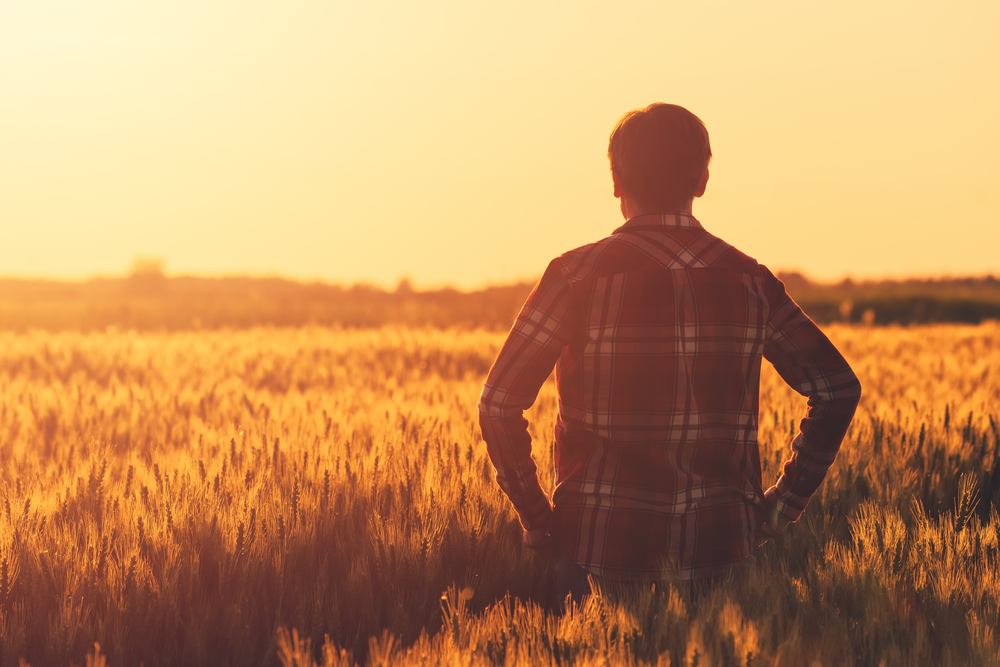 Farmer wants a wife