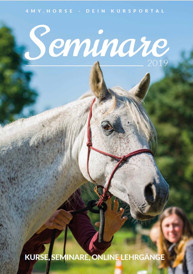 Seminare 2019