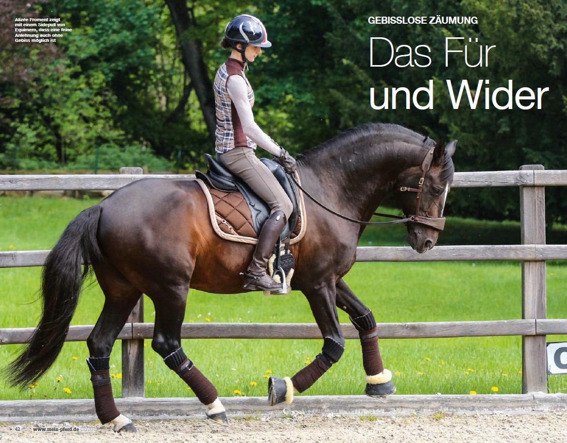 Alizée Froment reitet mit Sidepull