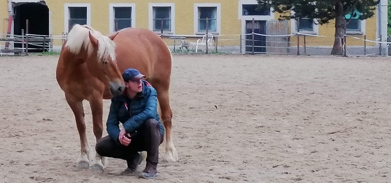 Vertrauen zum Pferd ist eine schöne Sache.