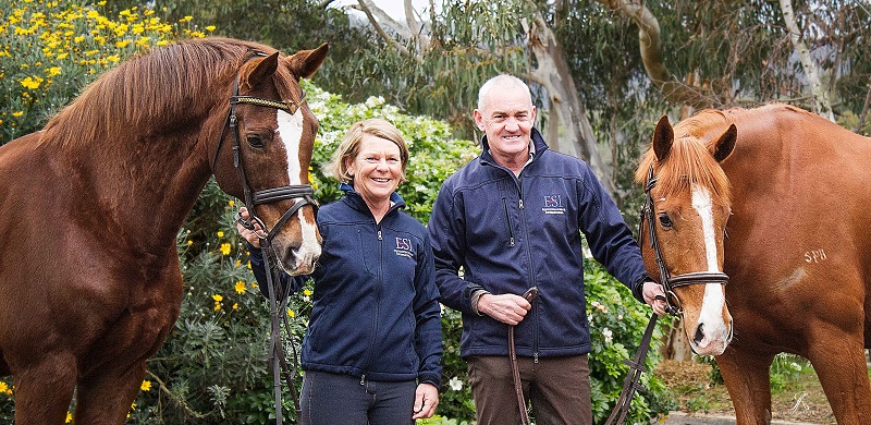 Grundprinzipien des Pferdetrainings