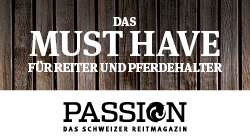 Passion_250 x 140 px Banner PASSION