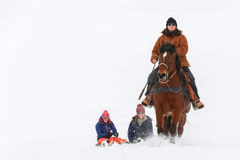 Spass mit Pferd und Bobschlitten