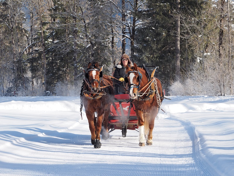 Kutschenfahrt im Winter