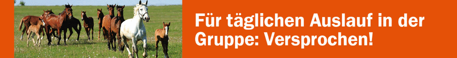 Pferde raus!