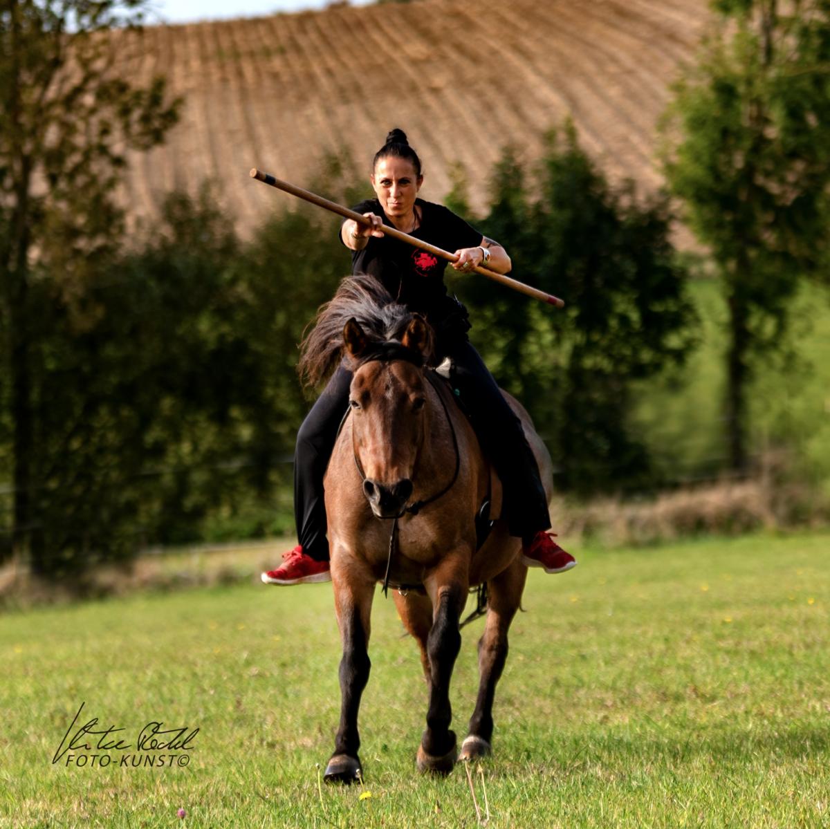 Pettra Engeländer beim Horse AiKiDo