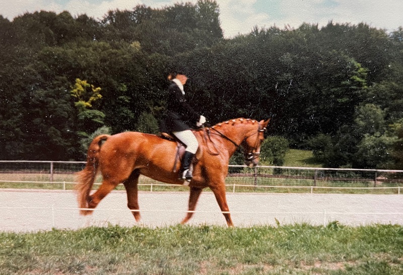 Dressurreiten