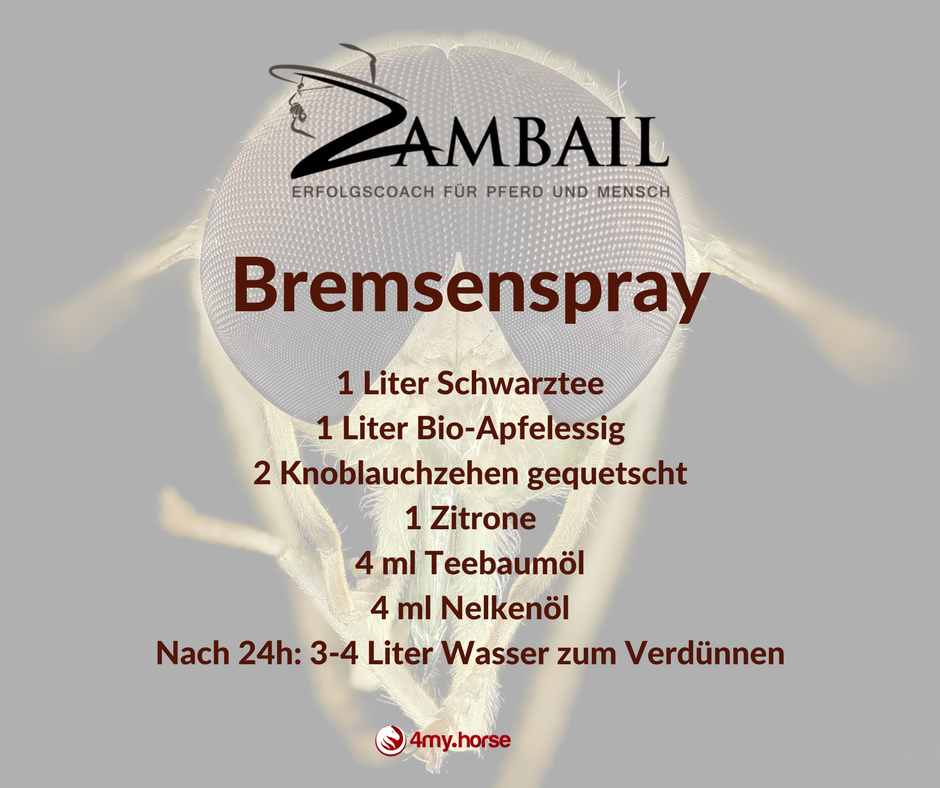 Rezept Fliegenspray Rezept Fliegenspray