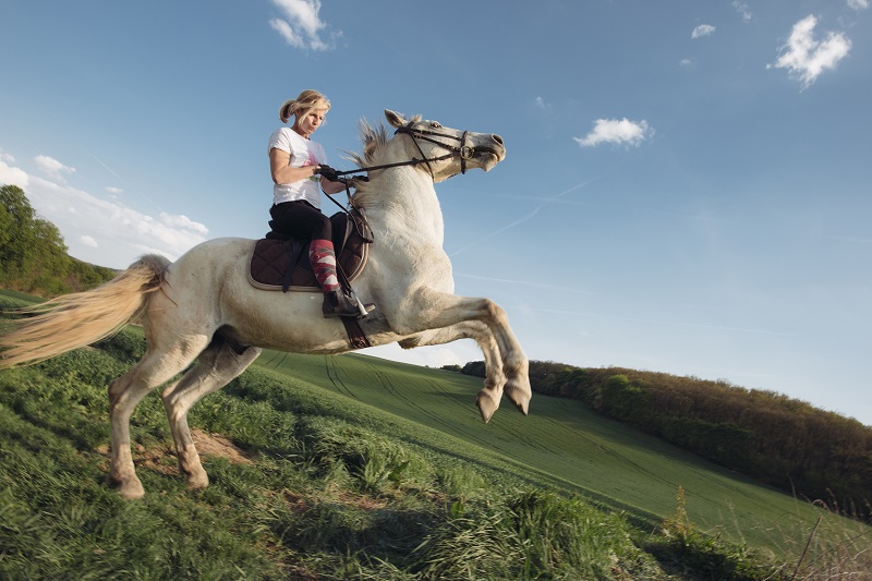 Ein Reitunfall ist schnell passiert