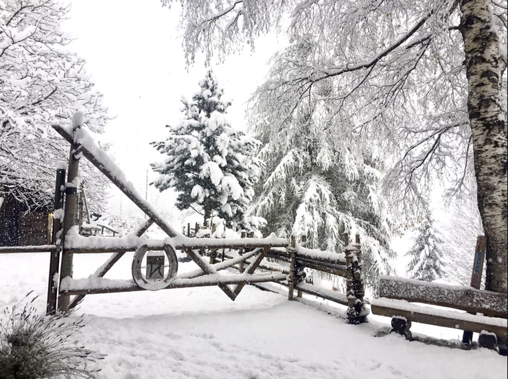 Besinnlicher Winter