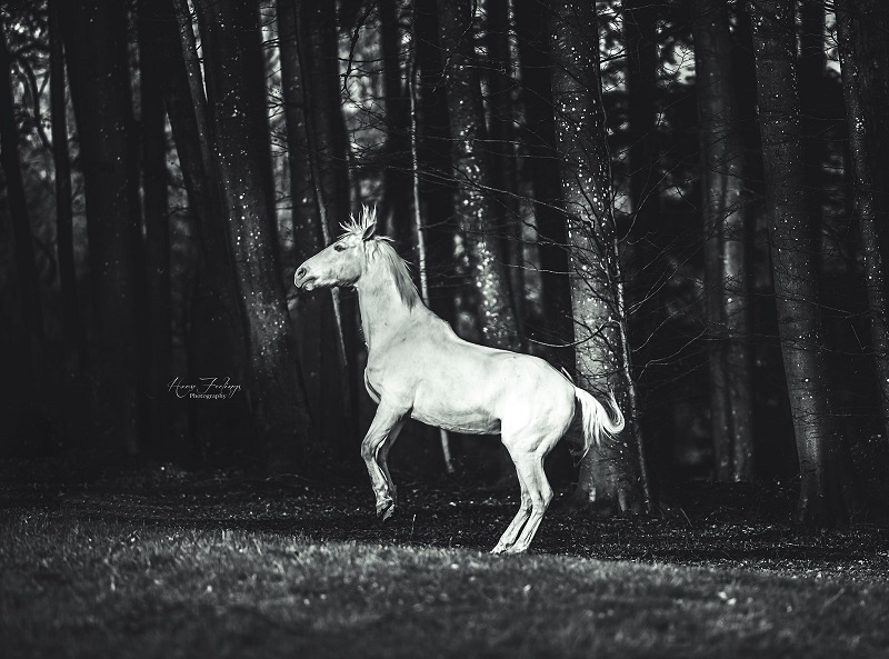 Foto von Ina Rethwisch