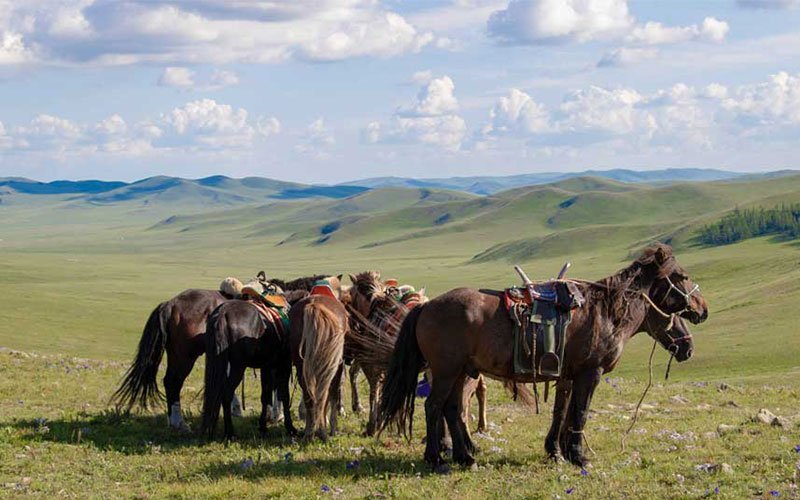 The_Great_Mongolian_Ride_Impressions_03