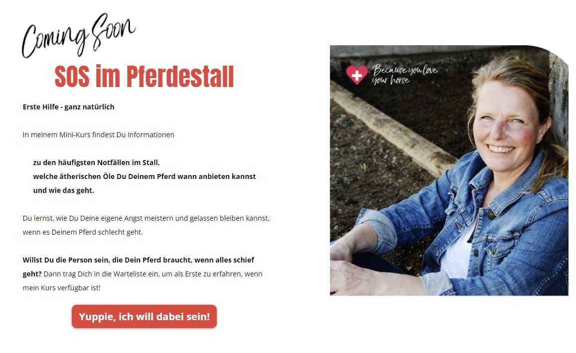 Jetzt zum Onlinekurs anmelden