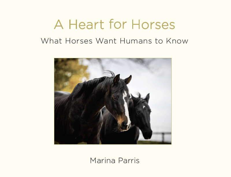 A Heart for Horses
