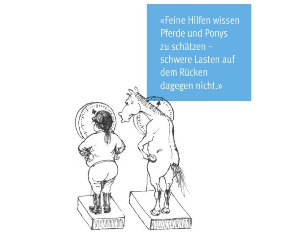 Reitergewicht
