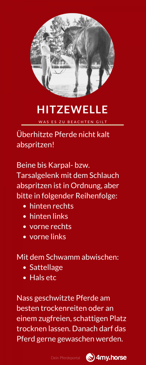 Hitzewelle Hitzewelle