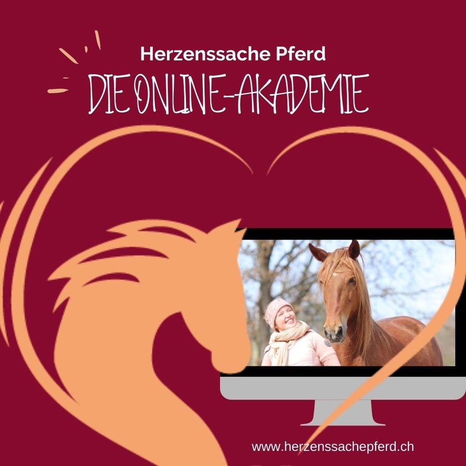 Online-Akademie