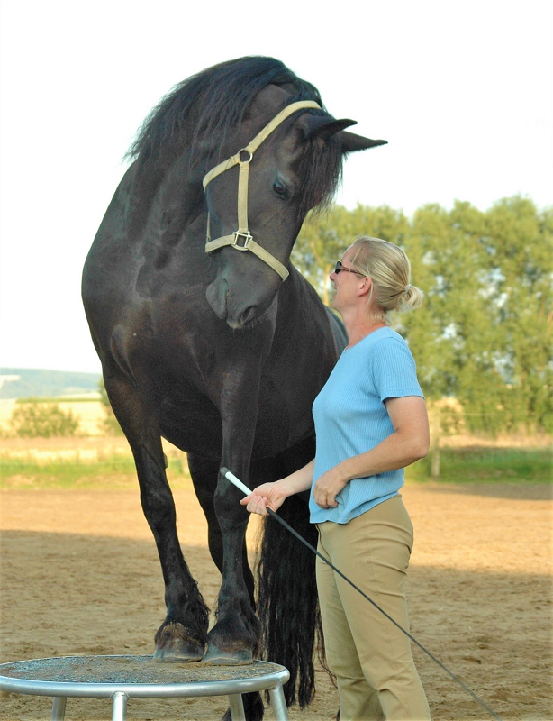 Archiv – Paula und Christiane