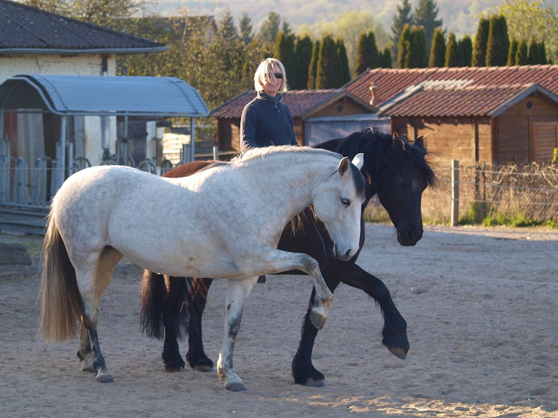 Maila, Paula und Christiane