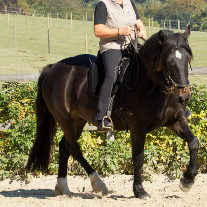Paula und Maila
