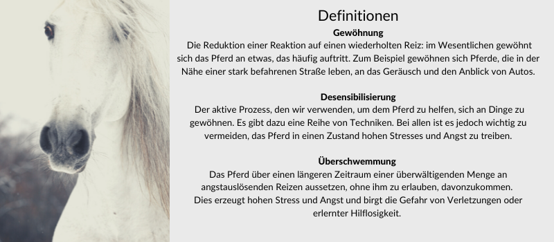 Gewöhnung - Desensibilisierung - Überschwemmung