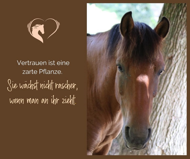 Vertrauen ist eine zarte Pflanze