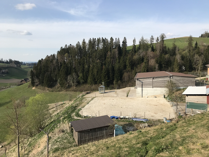 Pferdeliegenschaft zu vermieten