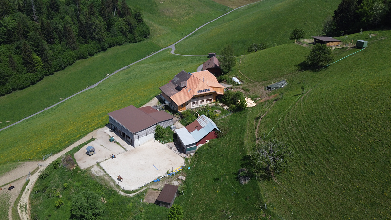 Pferdehof